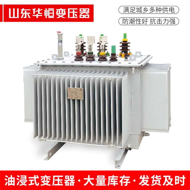 S13-10000/35乐业乐业乐业电力变压器