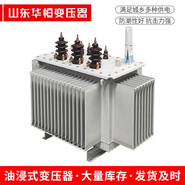 S13-10000/35乐业乐业乐业油浸式变压器厂家